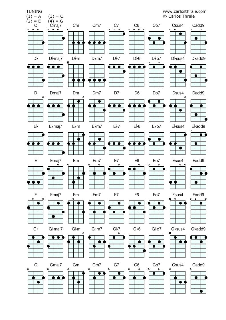 Chord S - GUITAR CHORDS POSTER 13X19 & NOTE LOCATOR & 5 POSITION LOGO
